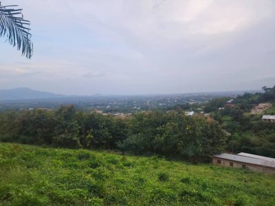 3 LOTS et 1/2 à KPALIME